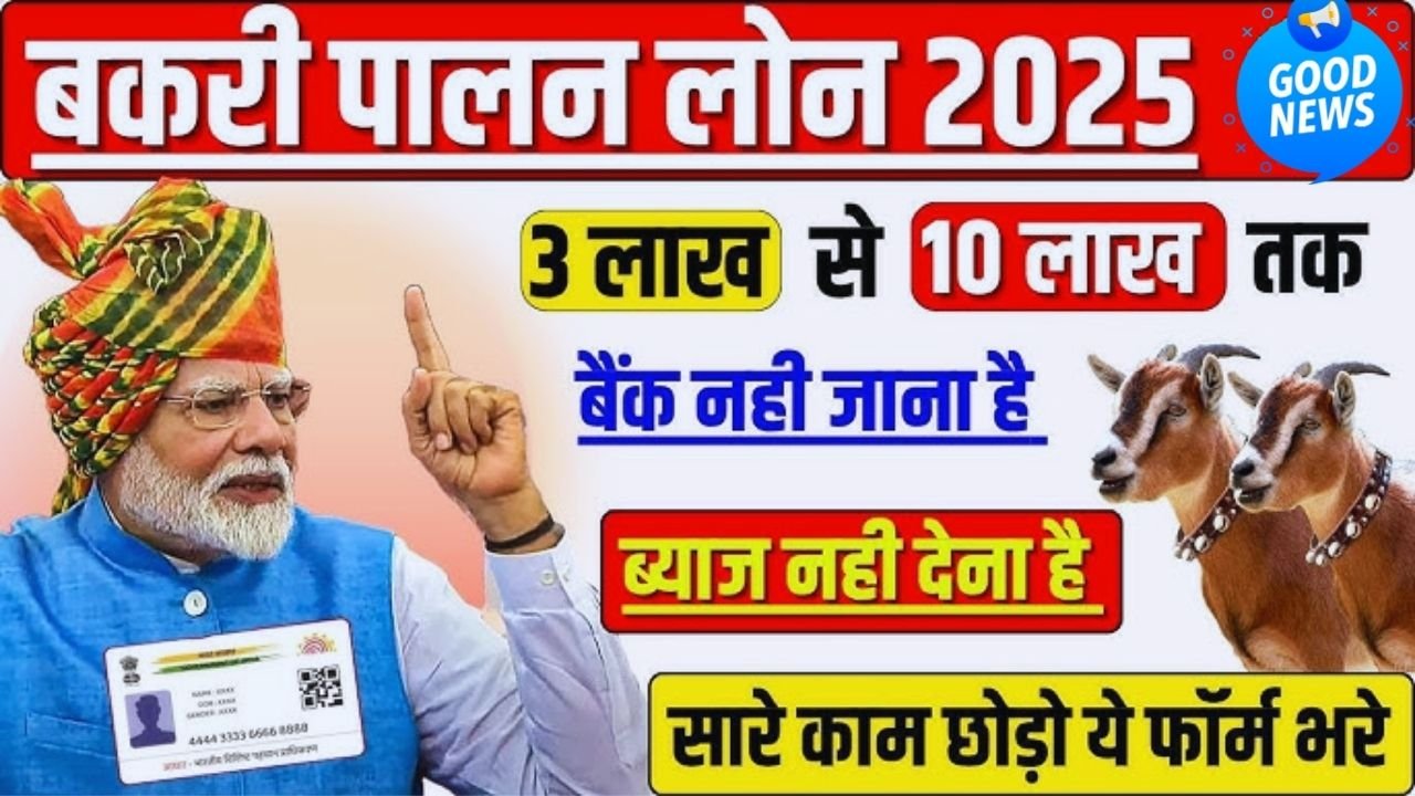 Unlock Your 2025 Goat Farm Dream Grab Up to 90% Subsidy and Watch Your Income Grow Fast